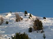 Pentes de poudreuse au téléski Aela