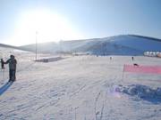 Piste pour débutants