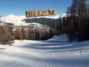 Descente en forêt Mélèzone