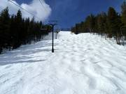 Piste à bosses Flush