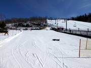 Espace débutant avec tapis roulant