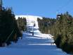 Sellraintal (vallée de Sellrain): Taille des domaines skiables – Taille Rangger Köpfl – Oberperfuss