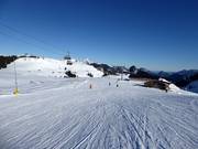 Piste facile Schönblick