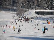 Très fréquentées – les pistes de Fahlenscheid