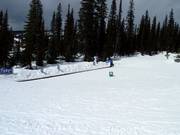 Zone pour débutants dans le Happy Valley avec tapis roulant
