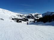 Piste facile Pampeago