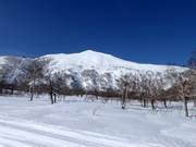 Vue sur le domaine freeride du Mt. Niseko Annupuri