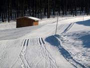 Départ de la piste de ski de fond près du téléski Almwiesen