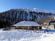 Chalet de restauration recommandé : Malga Valcigolera