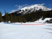 Zone débutants Sundance