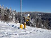 Canon à neige performant au téléski Kißlinger