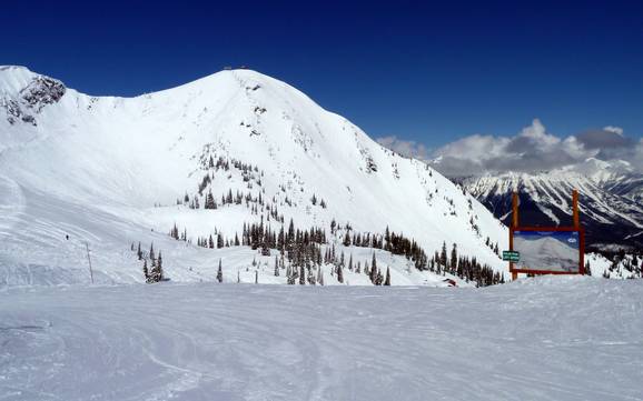 Chaînon Lizard: Taille des domaines skiables – Taille Fernie