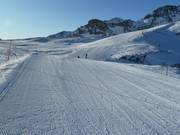 Très bonne préparation des pistes