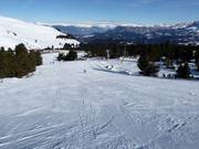 Piste facile Schwarzhorn 1