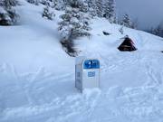 Des poubelles sont toujours à disposition.