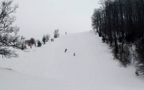 Diversité des pistes Monts Staré Hory – Diversité des pistes Donovaly (Park Snow)