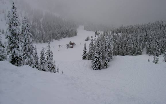 Chaîne des Cascades: Taille des domaines skiables – Taille Mt. Hood Skibowl