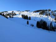 Vue sur les descentes du Mount Standish