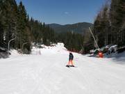 Piste facile 6 dans le domaine skiable