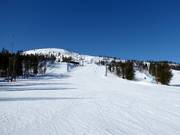 Vue sur la montagne Kultakero, haute de 500 mètres, du domaine skiable de Phyä