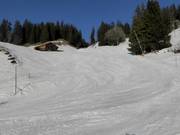 Descente facile Reuti-Talabfahrt