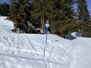 Balisage des pistes dans le domaine skiable