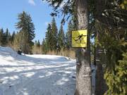 Ski de fond à Pamporovo