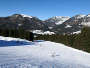 Piste n° 1 Hornspitz-Russbach