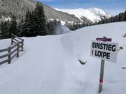 Piste de ski de fond à Ochsengarten