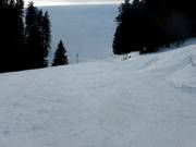 Descente Kaltwasser avant la jonction avec la descente Donauwellen