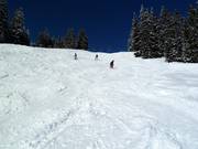 Variantes au Sunliner