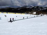Tapis roulant Boardwalk