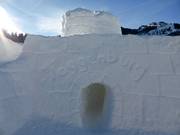 Bon plan pour les enfants :  - Toggenburg