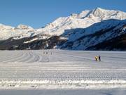 Piste de ski de fond à Maloja