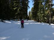 Piste de liaison vers la télécabine Yastrebets