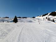 Pistes faciles au télésiège Euro