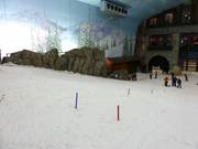 La zone débutants inférieure