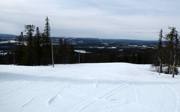Skier à Kåbdalis