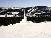 Descente du Valsfjell