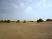 L'immensité du désert