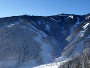 Piste noire standard