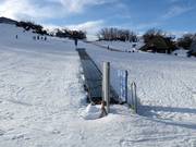 Ski Carpet No. 2 - Tapis roulant/Moving Carpet