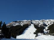 Vue sur les pistes raides du North American