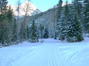 La piste de ski de fond commence directement au pied de la piste de ski.