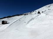 Descente des prairies alpines