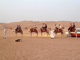 Surf sur sable Dubai