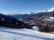 Descentes à travers les clairières forestières entre Ponte di Legno et Temù