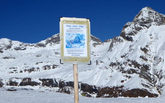 Vallée du Rhin postérieur: Domaines skiables respectueux de l'environnement – Respect de l'environnement Splügen – Tambo