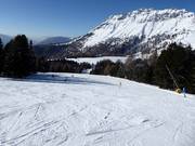 Piste facile Zirmes