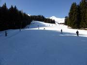 Piste d'entraînement Kreuzboden